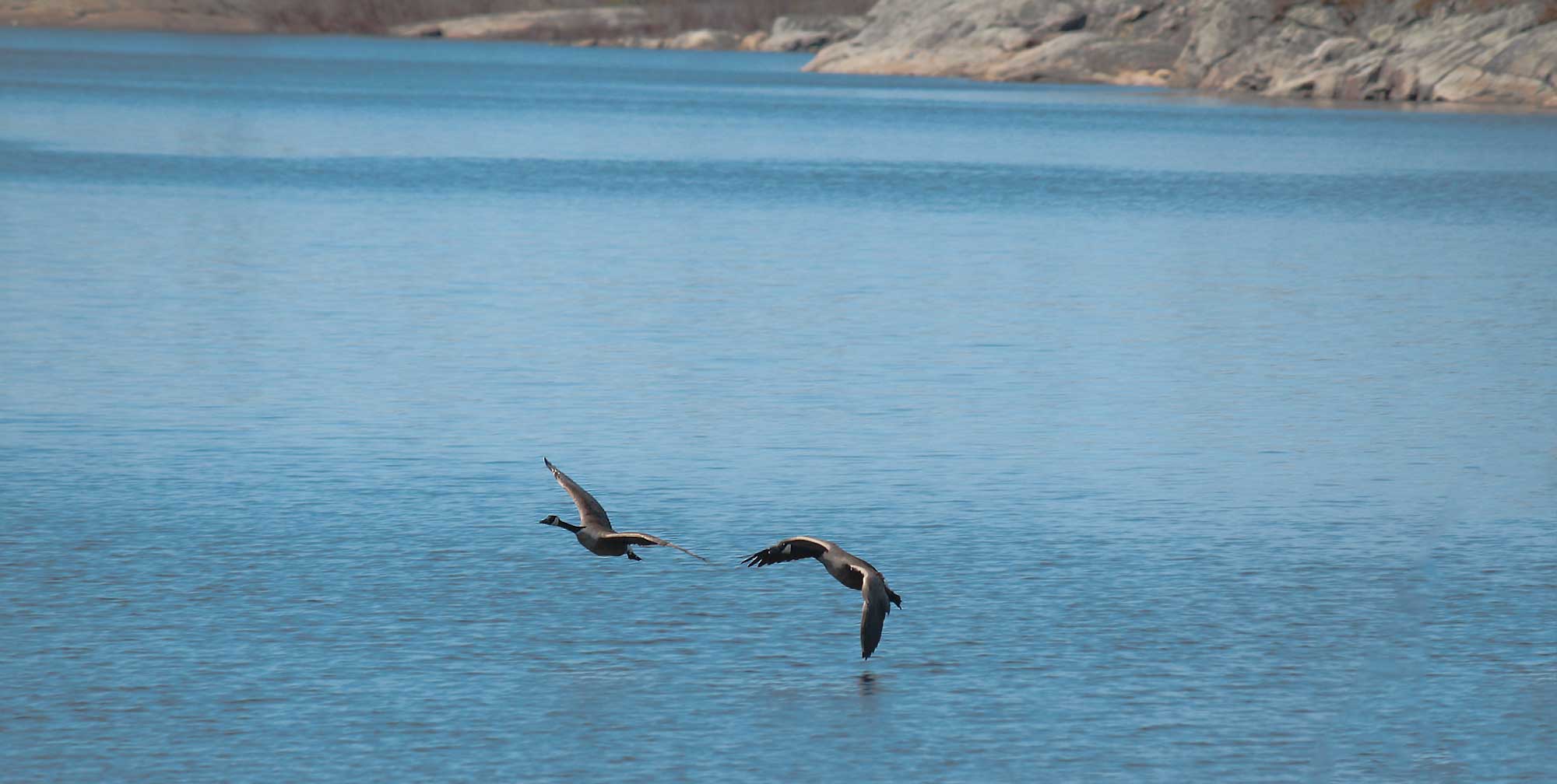 Henvey Inlet First Nation News and News Releases