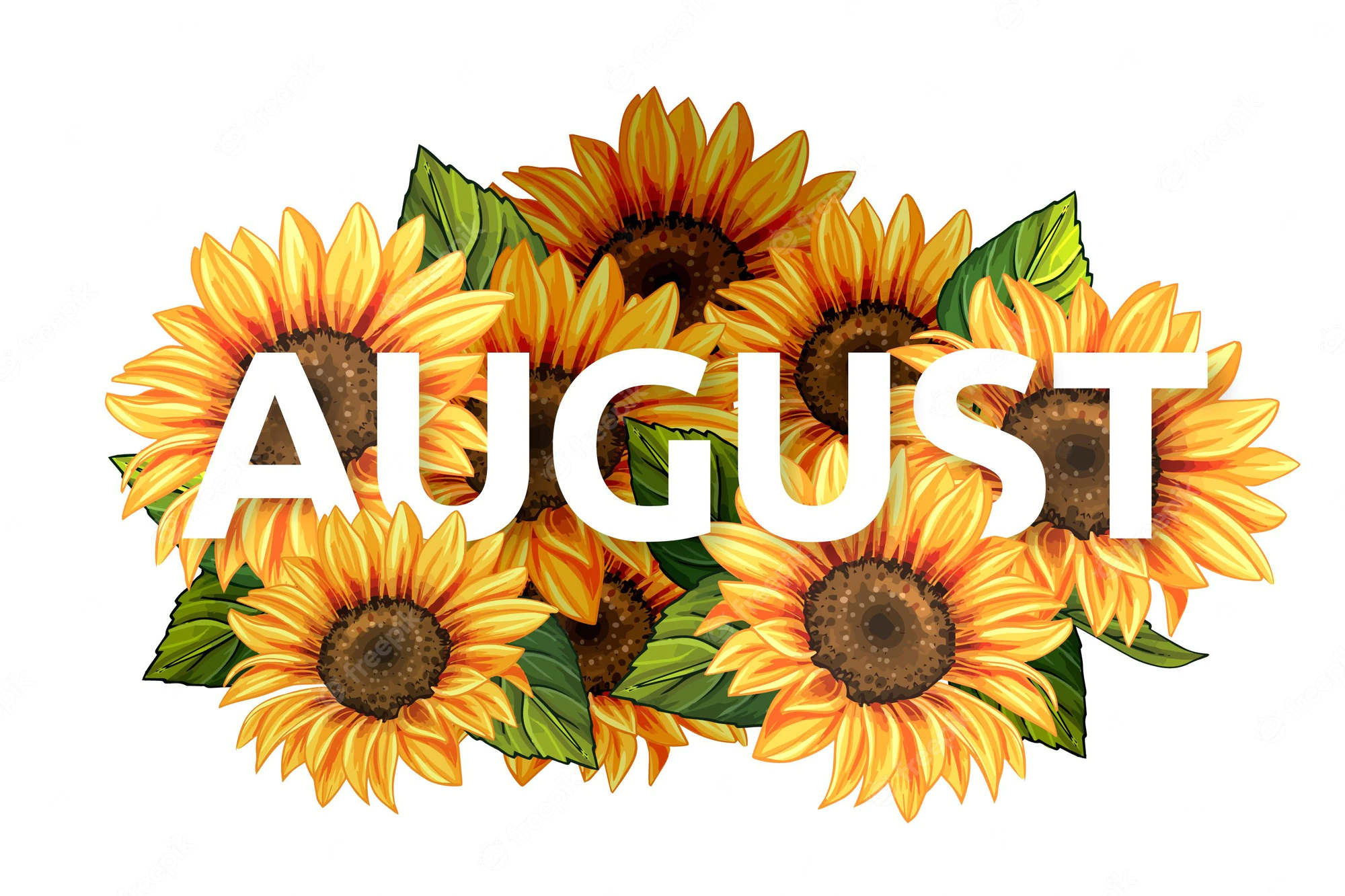 august2023picture