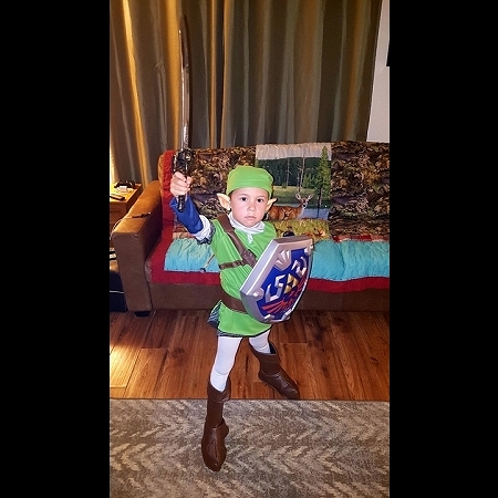 Young Link Fr. Legend of Zelda Ocarina of Time